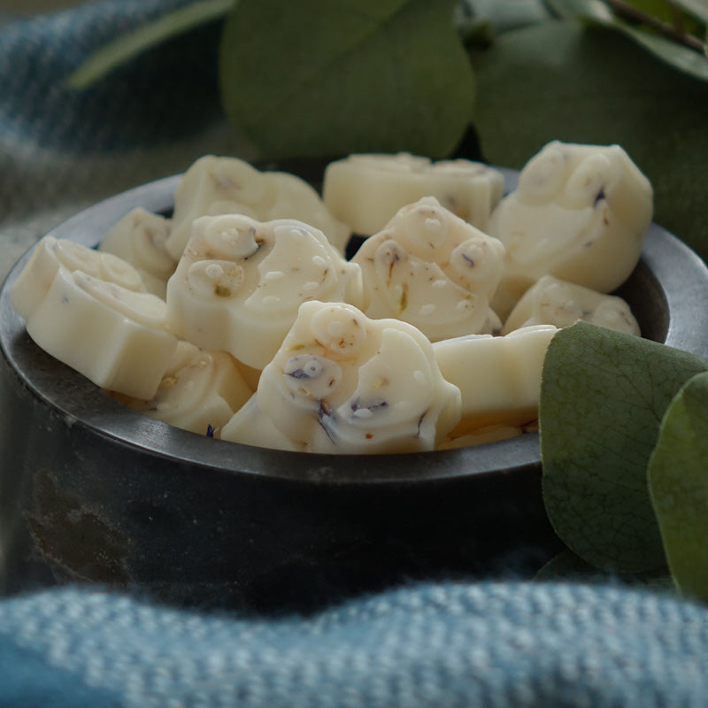 Highly Scented Botanical Wax Melts - Rapeseed n' Coconut wax Ric n'Gus Candles