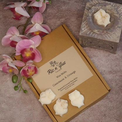 ric n'gus candles Cinnamon & Orange botanical scented natural coconut & rapeseed wax melts 