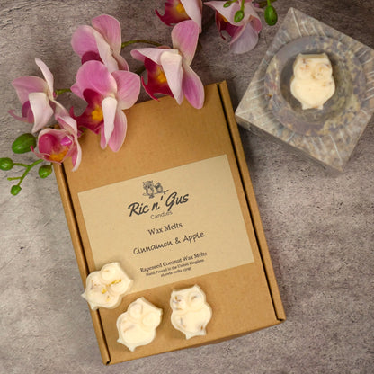 Ric N'Gus Candles Cinnamon & Apple botanical highly scented natural coconut & rapeseed wax melts 6