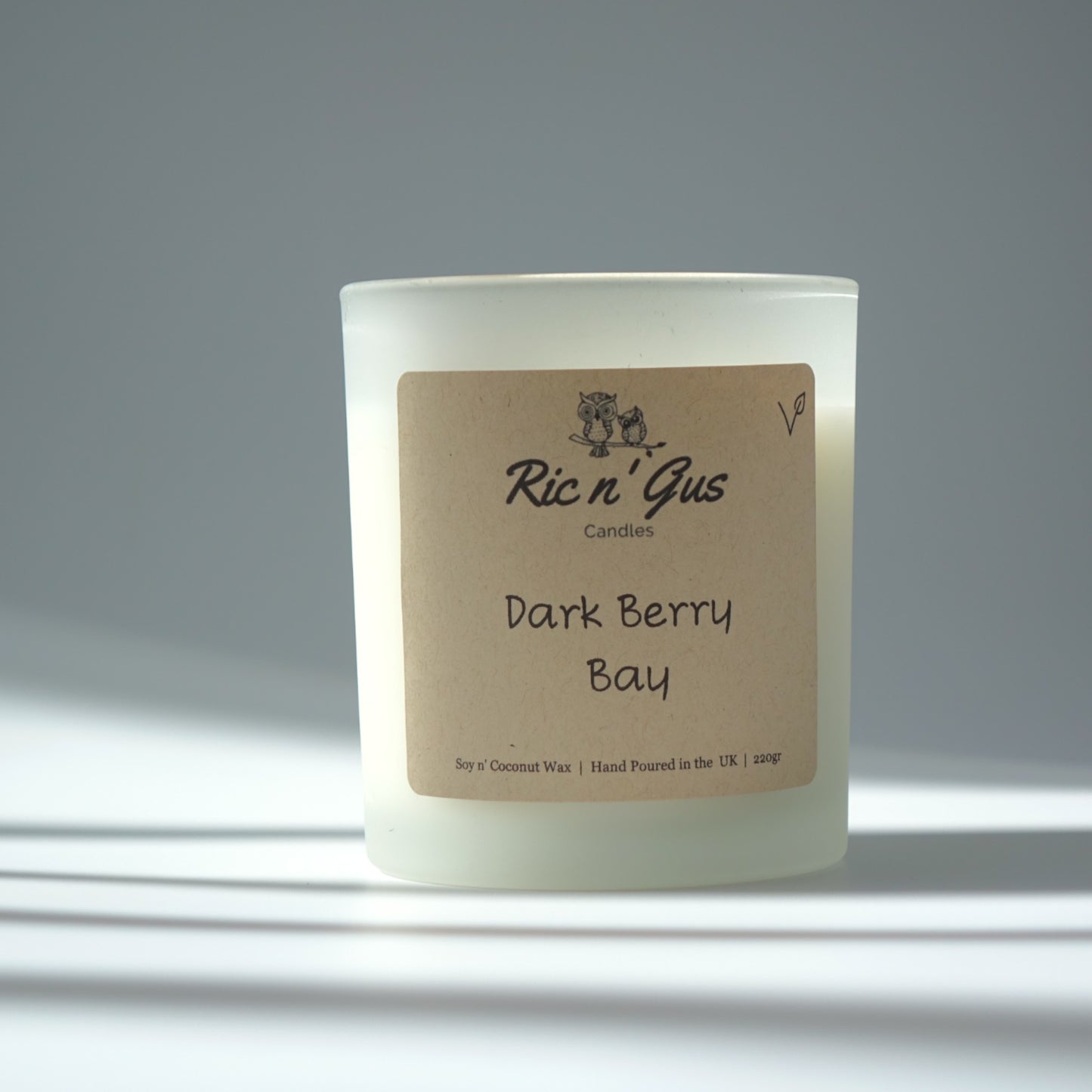 blackberry and bay scented candle ric n'gus candles coconut soy wax (2)