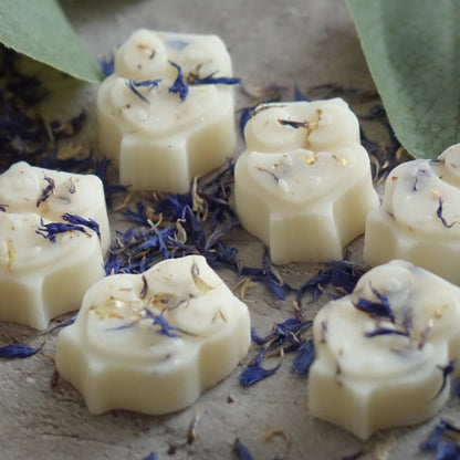 botanical scented natural wax melts ricnguscandles