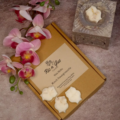 ric n'gus candles Black Pomegranate botanical scented natural coconut & rapeseed wax melts1